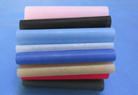 新县涤纶（PET）无纺布是什么