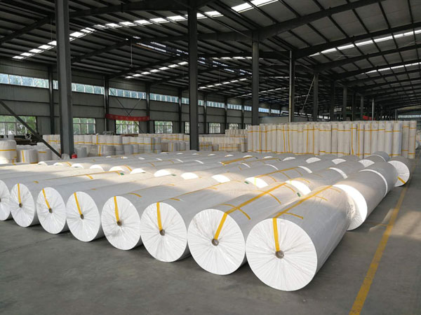 新县狭缝式涤纶纺粘无纺布